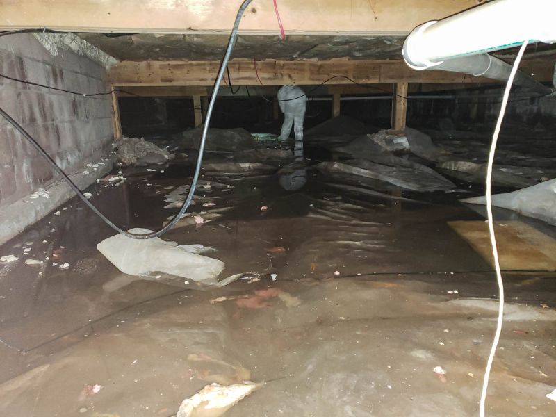 Encapsulated Crawlspace Walls